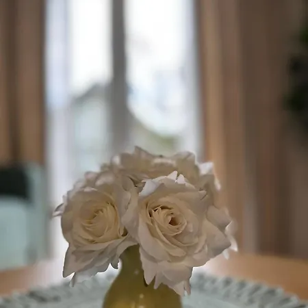 Apartment Vuk